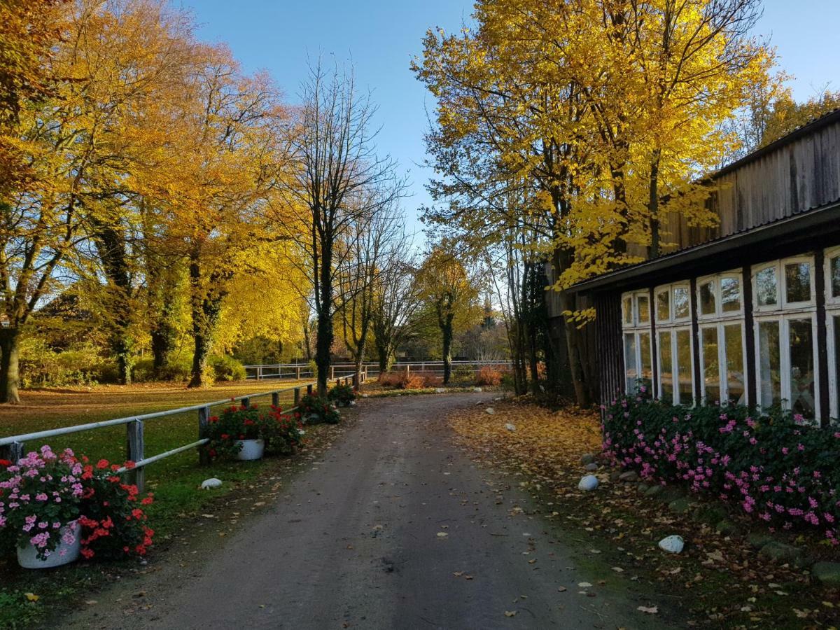Grosse, Helle Ferienwohnung Mit 2 Balkonen Auf Dem Bauernhof In Der Lueneburger Heide Oetzen Eksteriør bilde