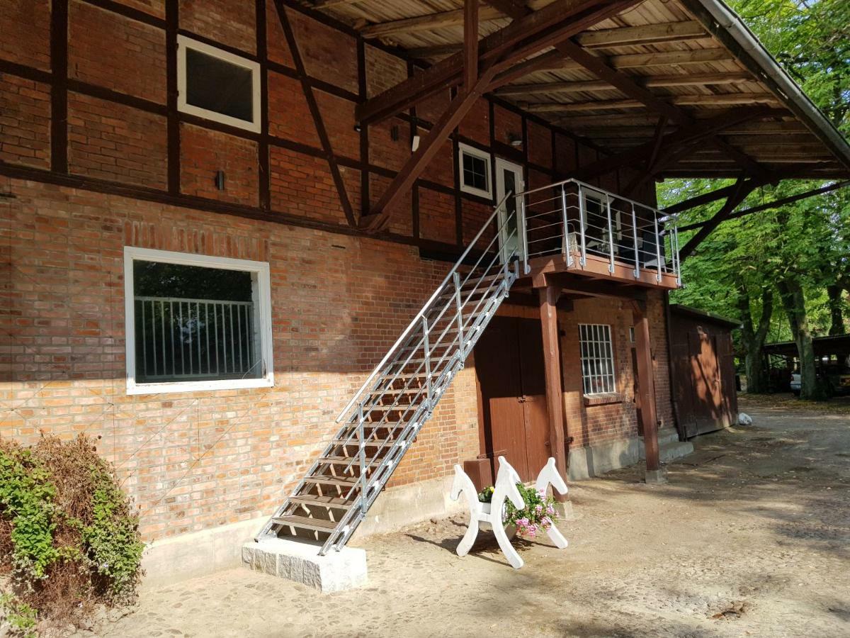 Grosse, Helle Ferienwohnung Mit 2 Balkonen Auf Dem Bauernhof In Der Lueneburger Heide Oetzen Eksteriør bilde